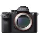 Mirrorless Digital Cameras