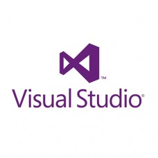 Microsoft [Visual Studio TFS Server CAL] VSTeamFndtnSvrCAL SA OLP NL Gov UsrCAL [Pemerintah] [126-00298]
