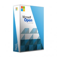 Microsoft [Windows Svr ExtrnConn]WinSvrExtConn 2019 OLP NL Gov Qlfd[Pemerintah] [R39-01236]