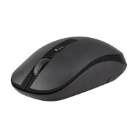 Prolink 800-1600Dpi 4-Button 2.4Ghz Wireless USB Mouse [PMW6007 - Black]