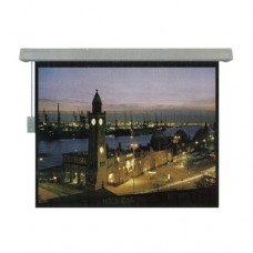 BRITE Motorized Screen [144" X 144"] [MR-366366]