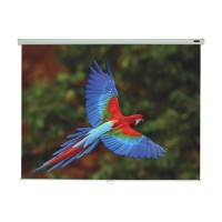 DRAPER Manual Screen 100" Diagonal [MWSDR1520D]