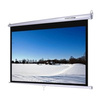 SCREENVIEW Manual Screen 216X268 cm (120") (16:10) [MWSSV2126L]