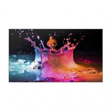 Samsung Video Wall 55 Inch + Samsung Bracket WMN55VD [UD55E-A]