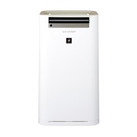 Sharp Air Purifier [KC-G60Y-W]