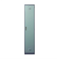 Lion Locker 1-Door