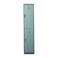 Lion Locker 2-Door