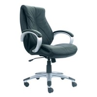Chairman Director Chair PC-9310A