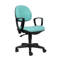 Chairman Secretary Chair SC-808